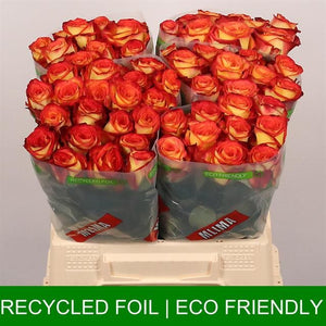 Rozen Firefox (20 stuks) 35cm